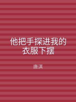 他把手探进我的衣服下摆
