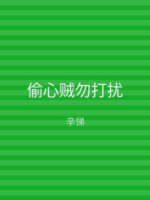 偷心贼勿打扰