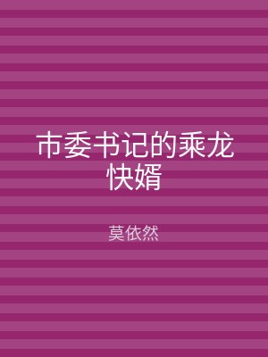 市委书记的乘龙快婿