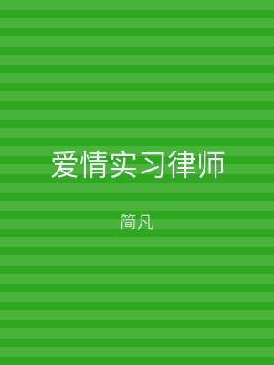 爱情实习律师