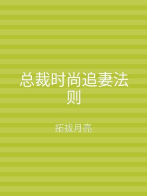 总裁时尚追妻法则