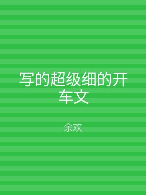 写的超级细的开车文
