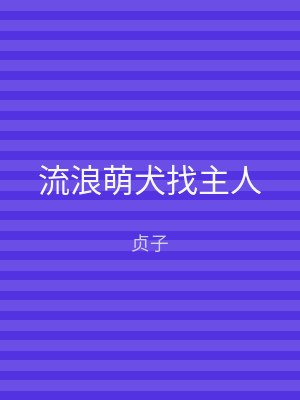 流浪萌犬找主人