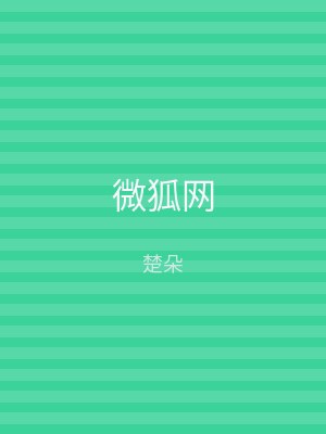 微狐网