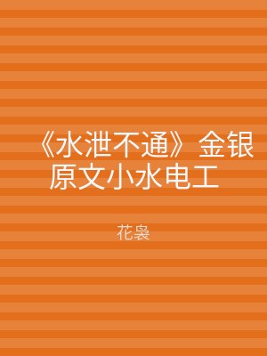 《水泄不通》金银原文小水电工