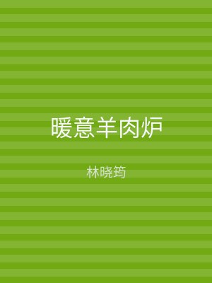 暖意羊肉炉