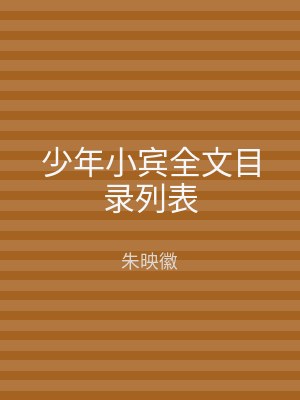 少年小宾全文目录列表