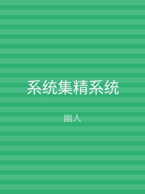 系统集精系统