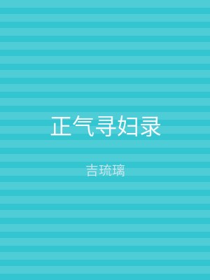 正气寻妇录