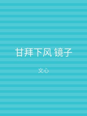 甘拜下风 镜子