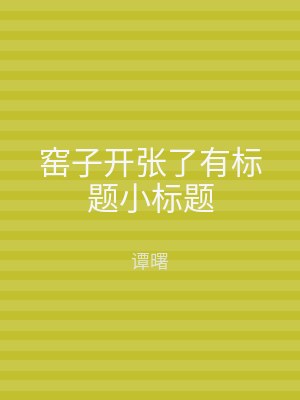 窑子开张了有标题小标题
