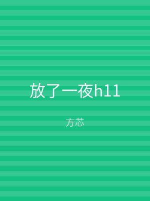 放了一夜h11