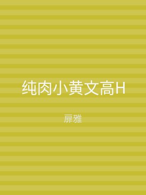 纯肉小黄文高H