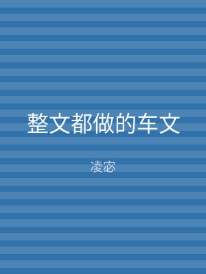 整文都做的车文