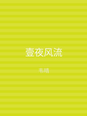 壹夜风流