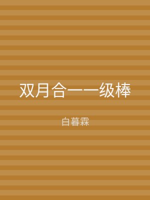 双月合一一级棒