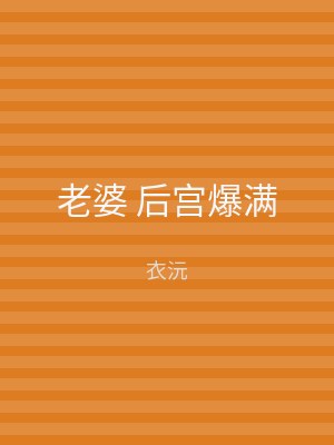 老婆 后宫爆满