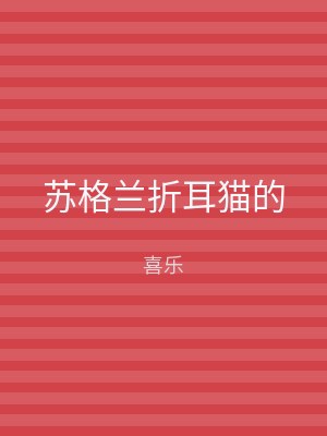 苏格兰折耳猫的
