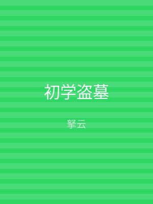 初学盗墓