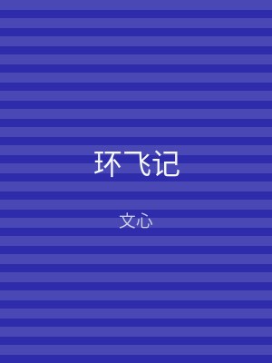 环飞记