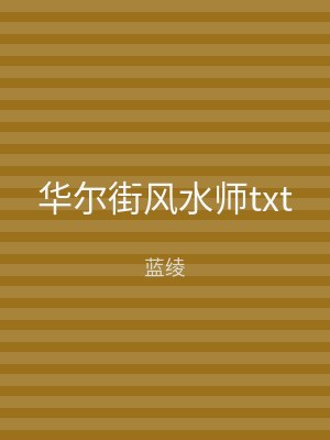 华尔街风水师txt