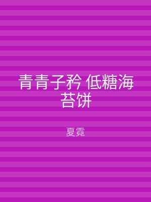 青青子矜 低糖海苔饼