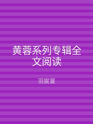 黄蓉系列专辑全文阅读