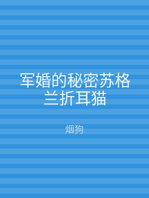 军婚的秘密苏格兰折耳猫