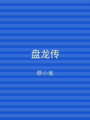 盘龙传