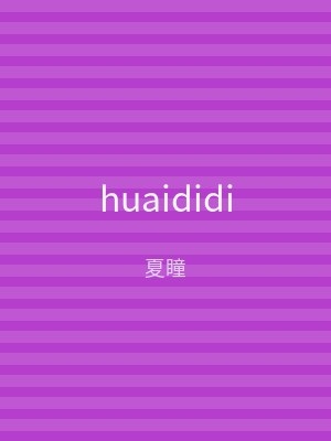 huaididi