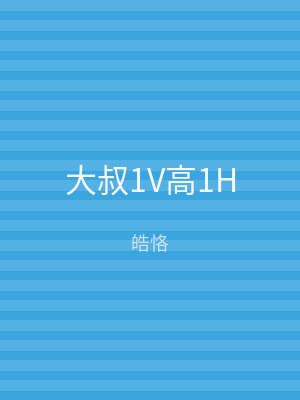 大叔1V高1H