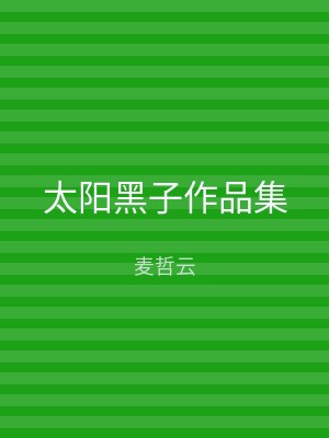 太阳黑子作品集