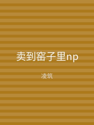 卖到窑子里np
