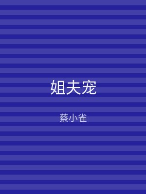 姐夫宠