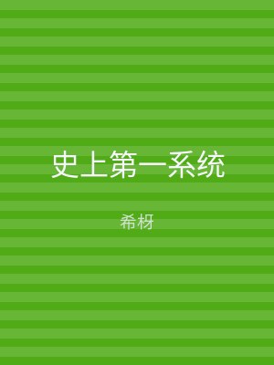 史上第一系统