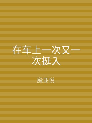 在车上一次又一次挺入