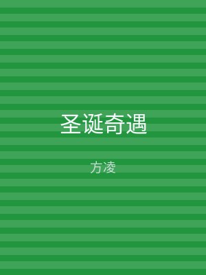 圣诞奇遇
