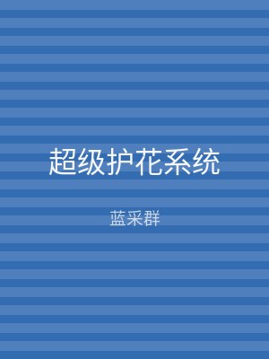 超级护花系统