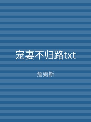 宠妻不归路txt