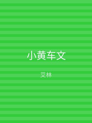 小黄车文