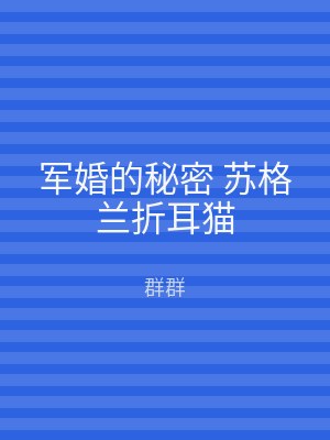 军婚的秘密 苏格兰折耳猫