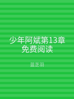 少年阿斌第13章免费阅读