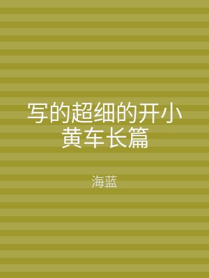 写的超细的开小黄车长篇
