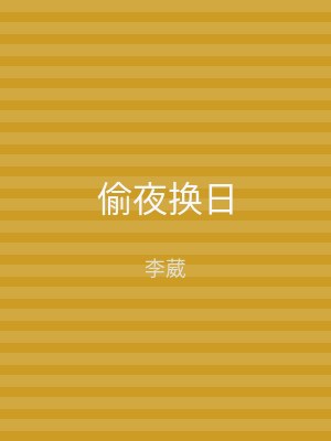 偷夜换日