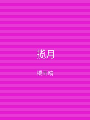 揽月