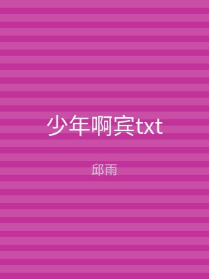 少年啊宾txt