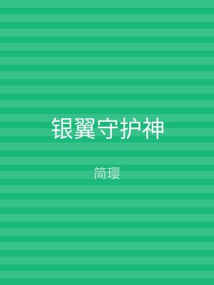 银翼守护神