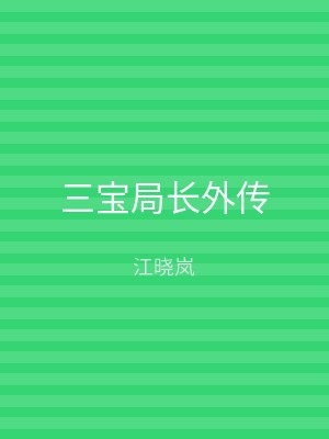 三宝局长外传