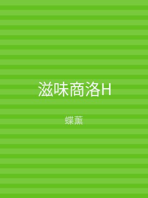 滋味商洛H
