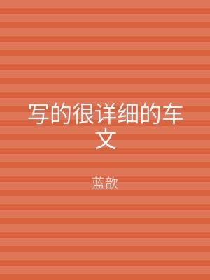 写的很详细的车文